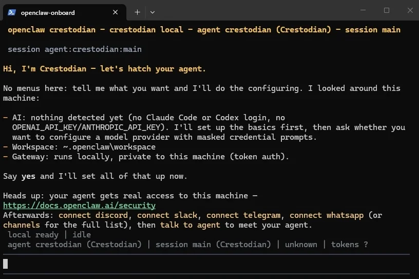 Как выглядит помощник по установке OpenClaw в терминале