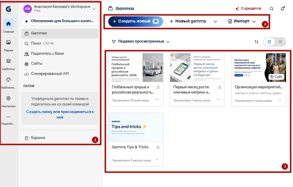 Как выглядит интерфейс Гамма