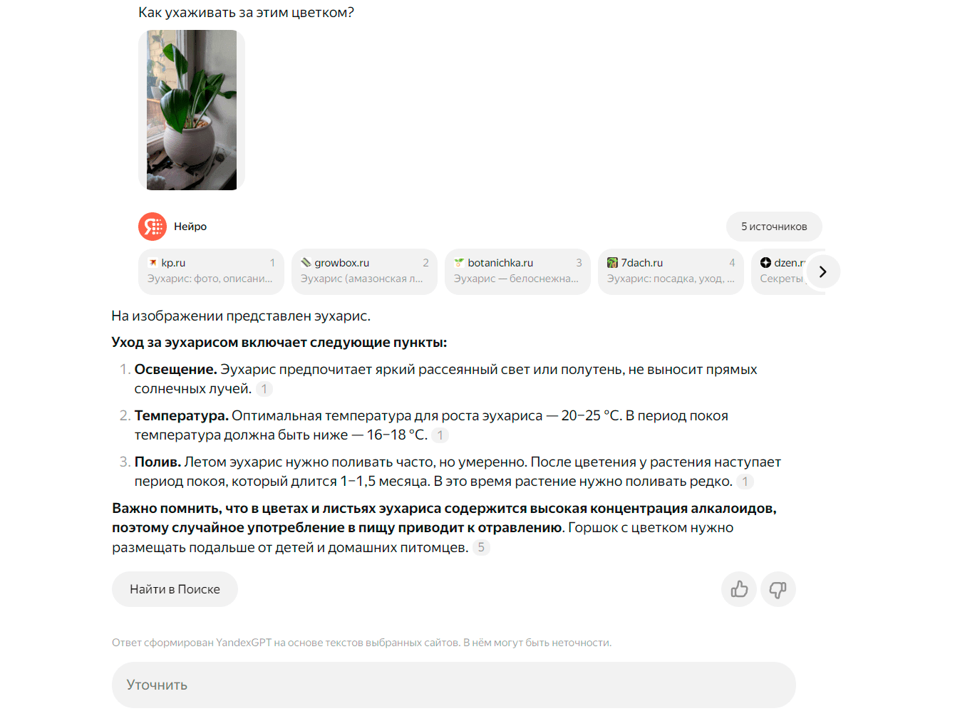 Поисковый запрос с Нейро