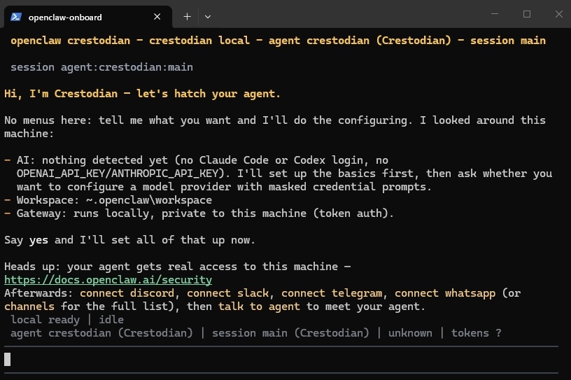 Как выглядит помощник по установке OpenClaw в терминале